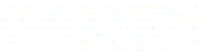 Branding is a focused program that is designed to strategically promote a group or brand by creating a brand, brand name, brand identity, package design, environmental design, website, apps, promotional design, and advertising (Landa, 2011). The goal of Flash's brand is to target professionals and pro-consumers in digital photography and/or video by providing high-end imported equipment. The challenge of promoting Flash's brand is that Flash is a web-based business with no physical store, thus the challenge to create a unique brand for Flash that will stand out from competitors. I have created Visual Board Identity, Logo, Ads, Collateral Design, and a Website to promote Flash's brand. You can scroll down to next section or click a link on the header above.
